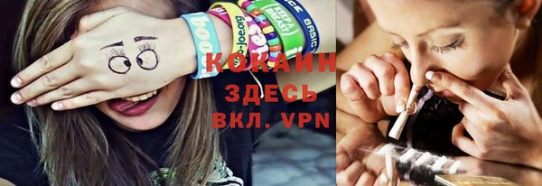 дживик Ельня
