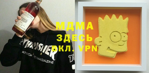 дживик Ельня