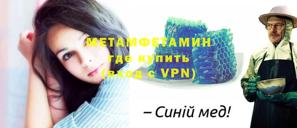 дживик Ельня