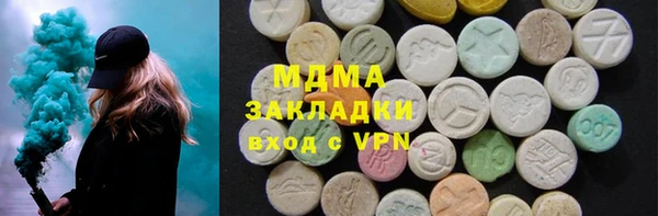 дживик Ельня