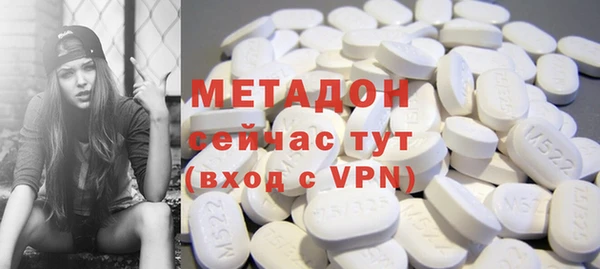 дживик Ельня