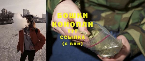 стаф Елизово