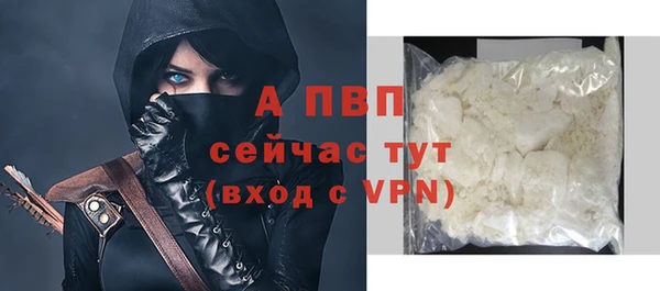 стаф Елизово