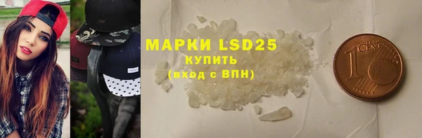 дживик Ельня