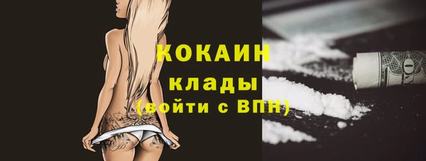 дживик Ельня