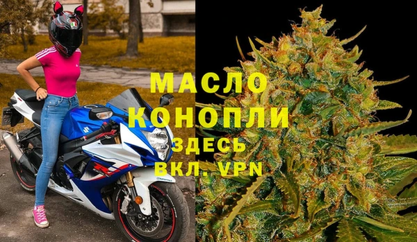 стаф Елизово