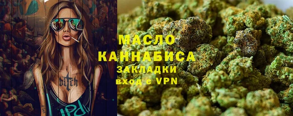 дживик Ельня