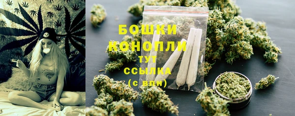 стаф Елизово