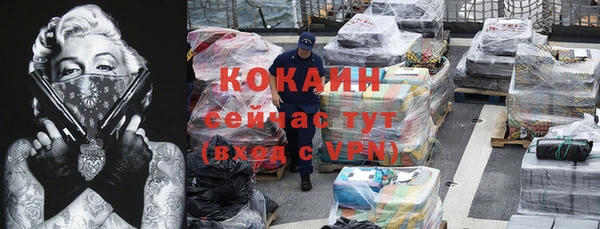 дживик Ельня