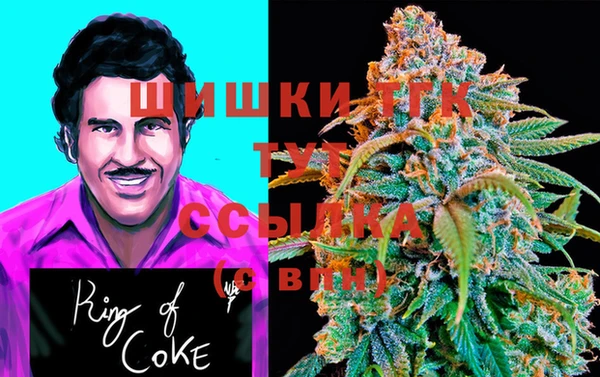 стаф Елизово