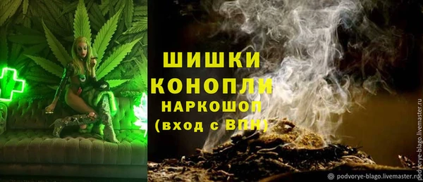 стаф Елизово