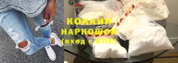 дживик Ельня
