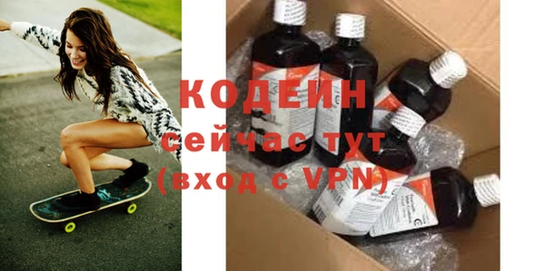 дживик Ельня