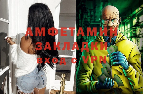 стаф Елизово