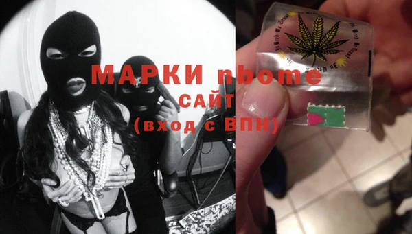 стаф Елизово