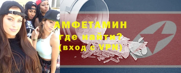 дживик Ельня