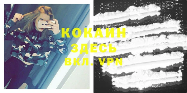 дживик Ельня