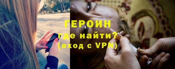 дживик Ельня