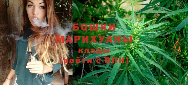 дживик Ельня