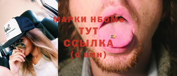 дживик Ельня