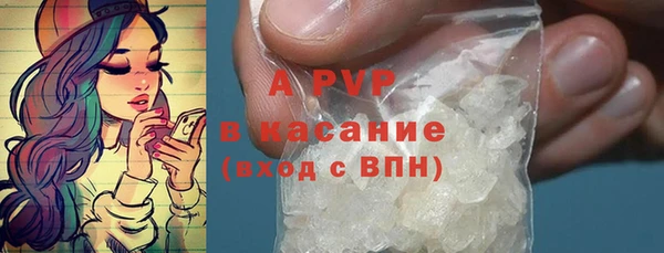 дживик Ельня