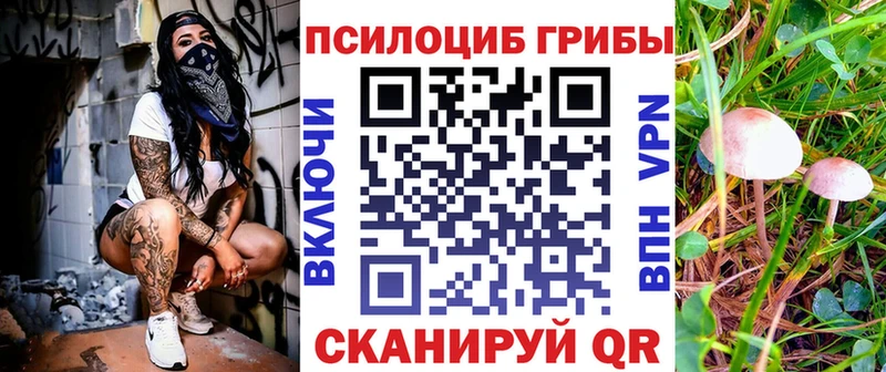 Псилоцибиновые грибы Psilocybe  Купить  Белебей 
